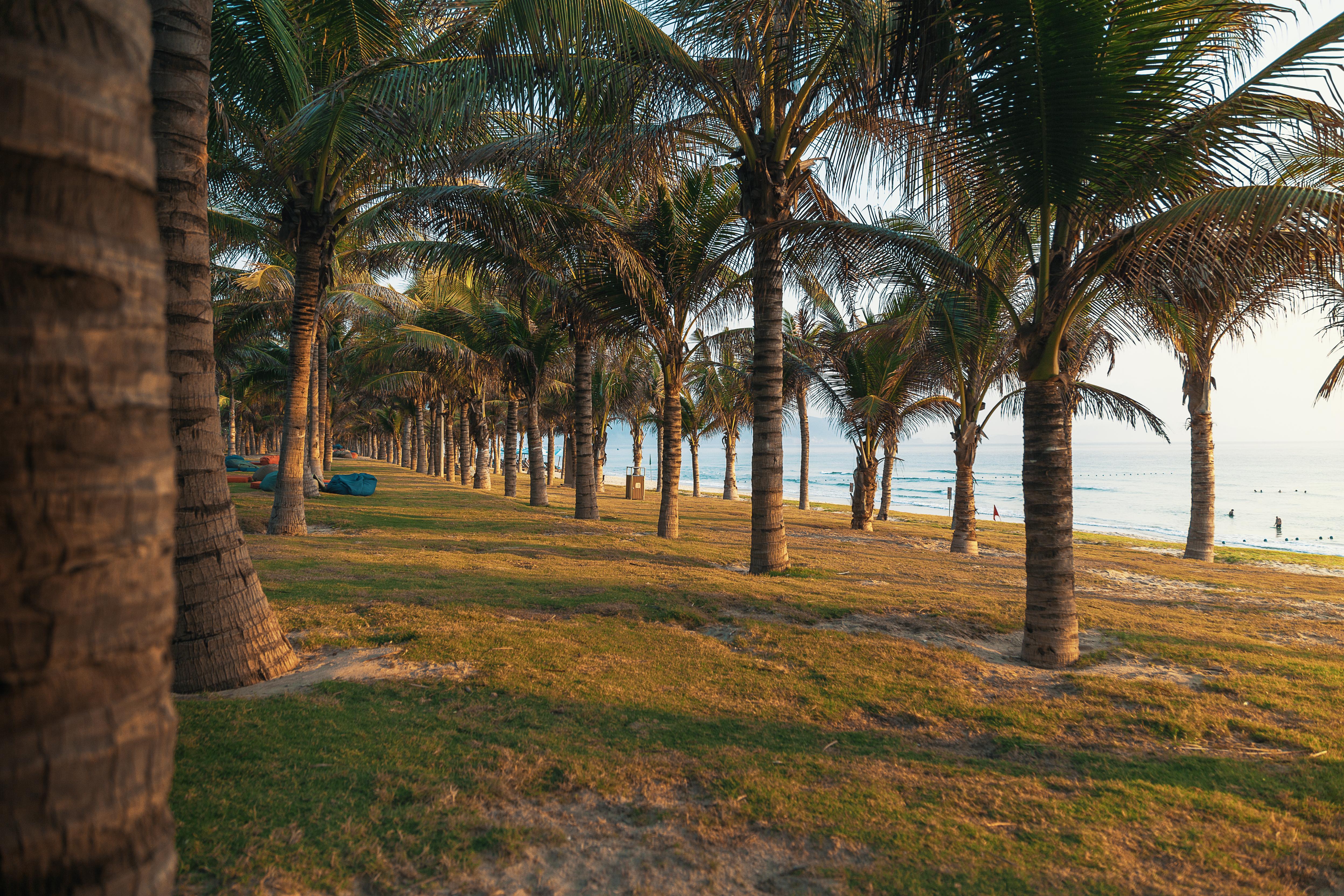 Duyen Ha Resort Cam Ranh Eksteriør bilde